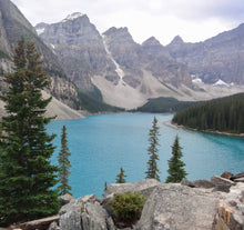 Load image into Gallery viewer, MORAINE SAPPHIRE RING 9CT WHITE GOLD